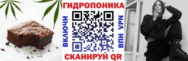 магазин продажи наркотиков  Тайга  Еда ТГК конопля 