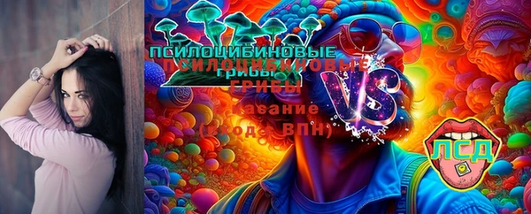 мескалин Нязепетровск
