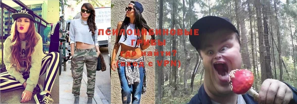кокаин Новозыбков