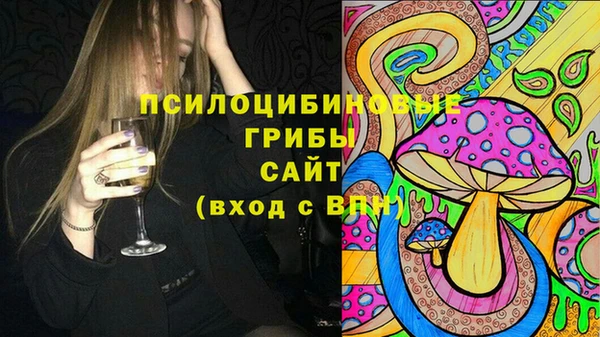 apvp Новодвинск