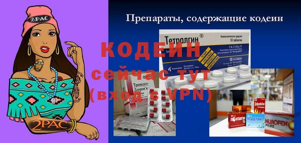 тгк Ветлуга