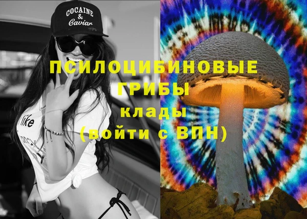 тгк Ветлуга